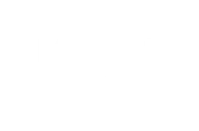 microsoft partner logo