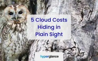 FinOps Cost Optimization: 5 Cloud Costs Hiding in Plain Sight
